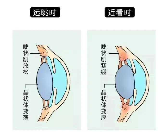 远眺.jpg